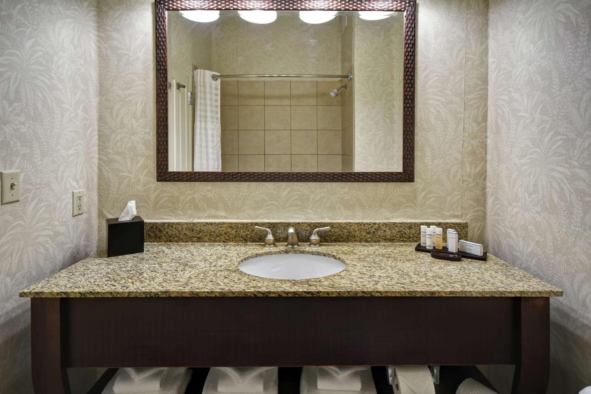 Embassy Suites Charleston - Historic District Екстериор снимка
